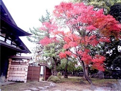 庭園・かぐじ