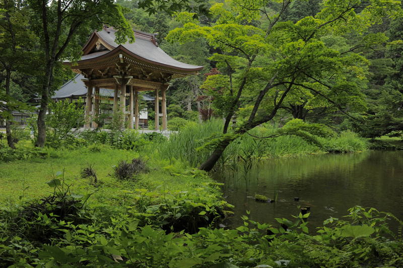 黒森山　浄仙寺