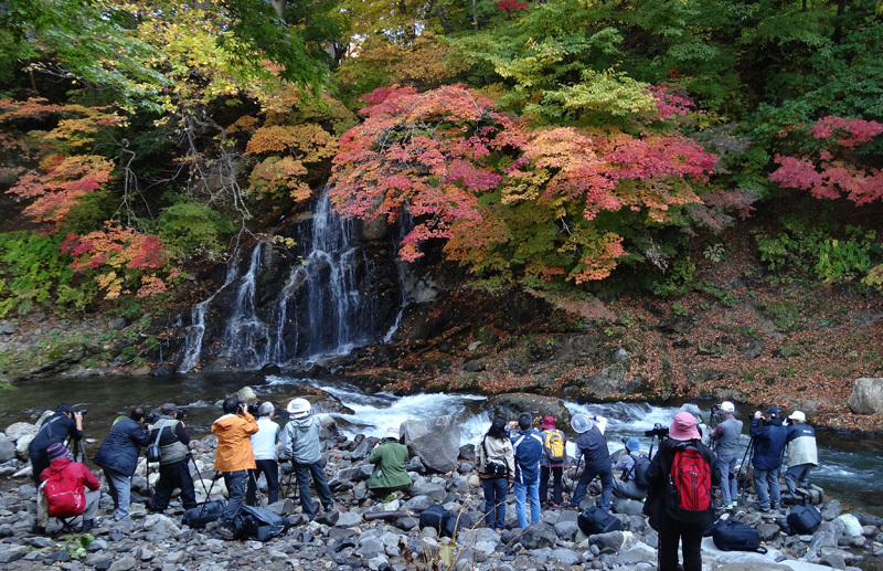 中野もみじ山